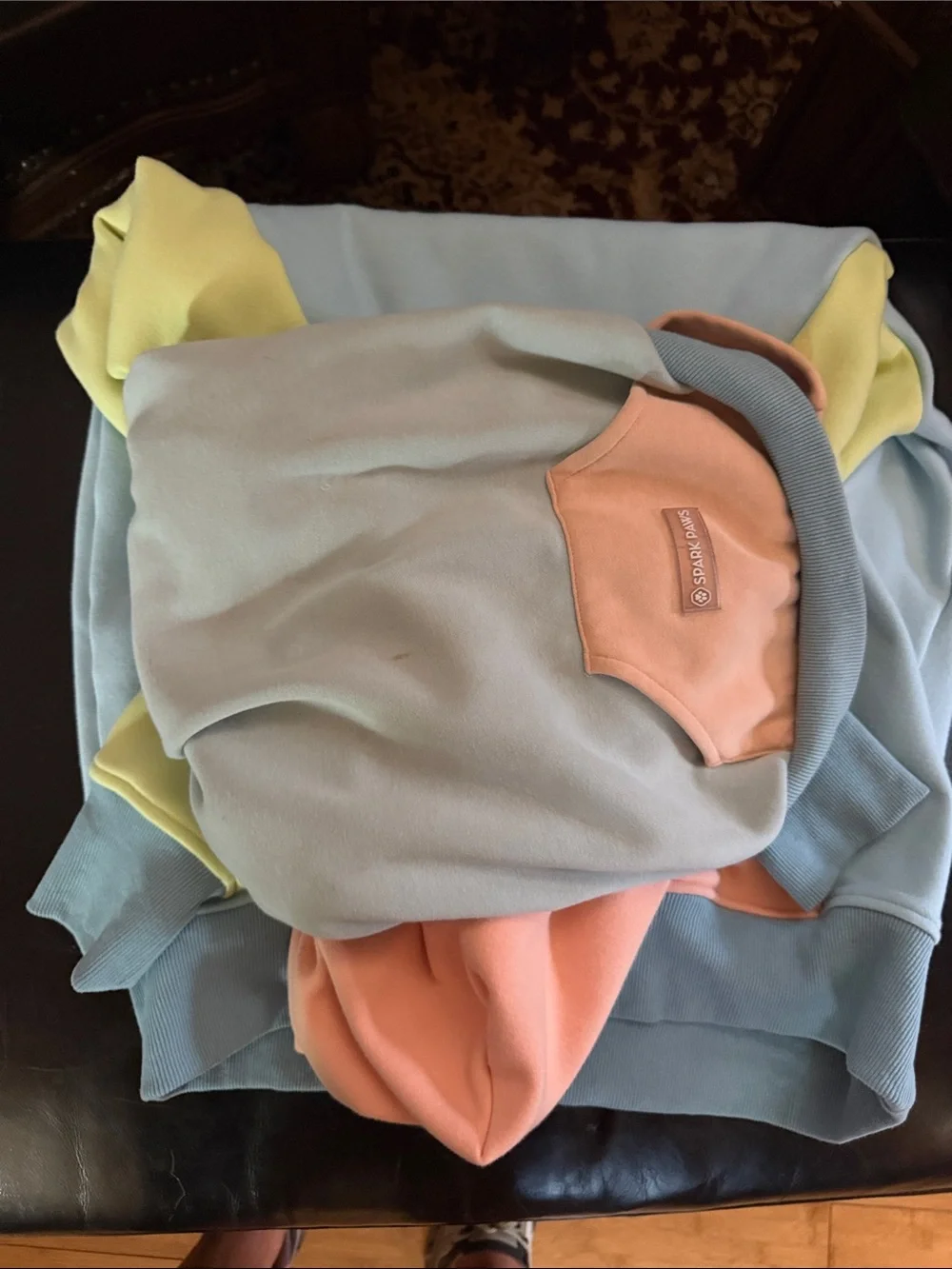 Spark paws Colorblock Pastel Hoodie - human hoodie dog hoodie